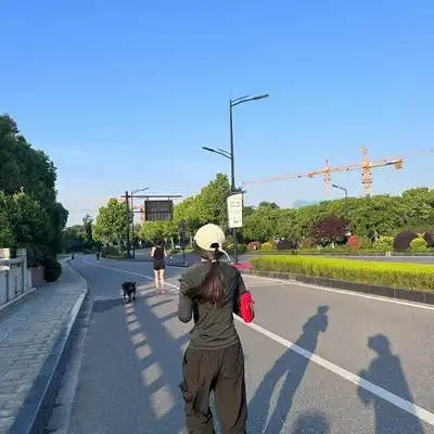 毛语翔